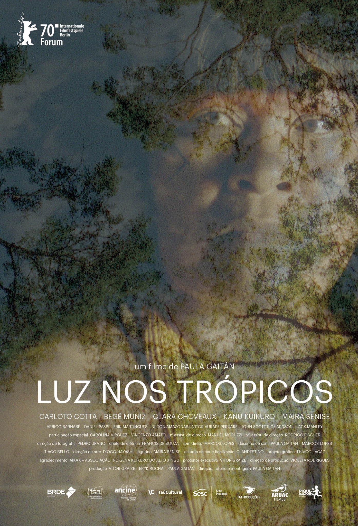 постер Light in the Tropics